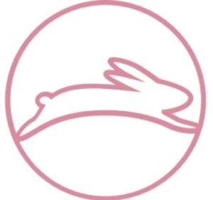 福岡で高収入な副収入ならライバースタジオラビットのライブチャット・配信ライバー・リモラビ