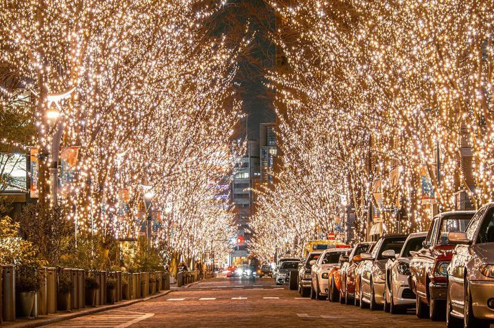 あっというまにクリスマスっっ(●´ω`●) こんにちはっ!!!!