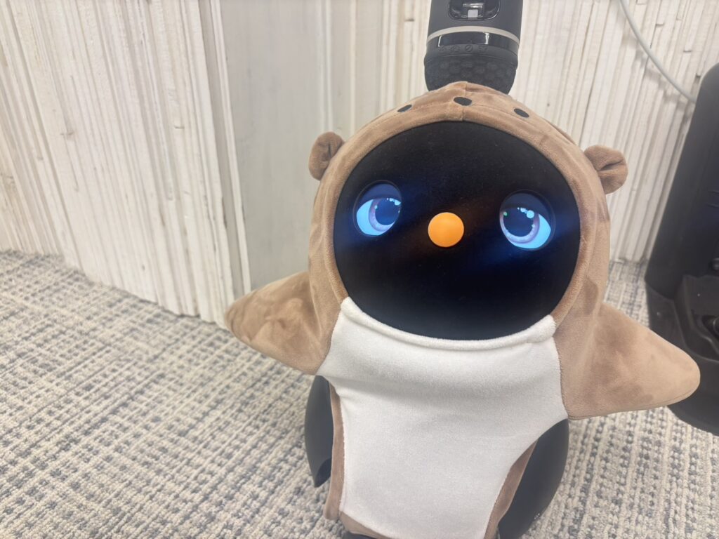 こんにちは！千葉店スタッフの小川です！