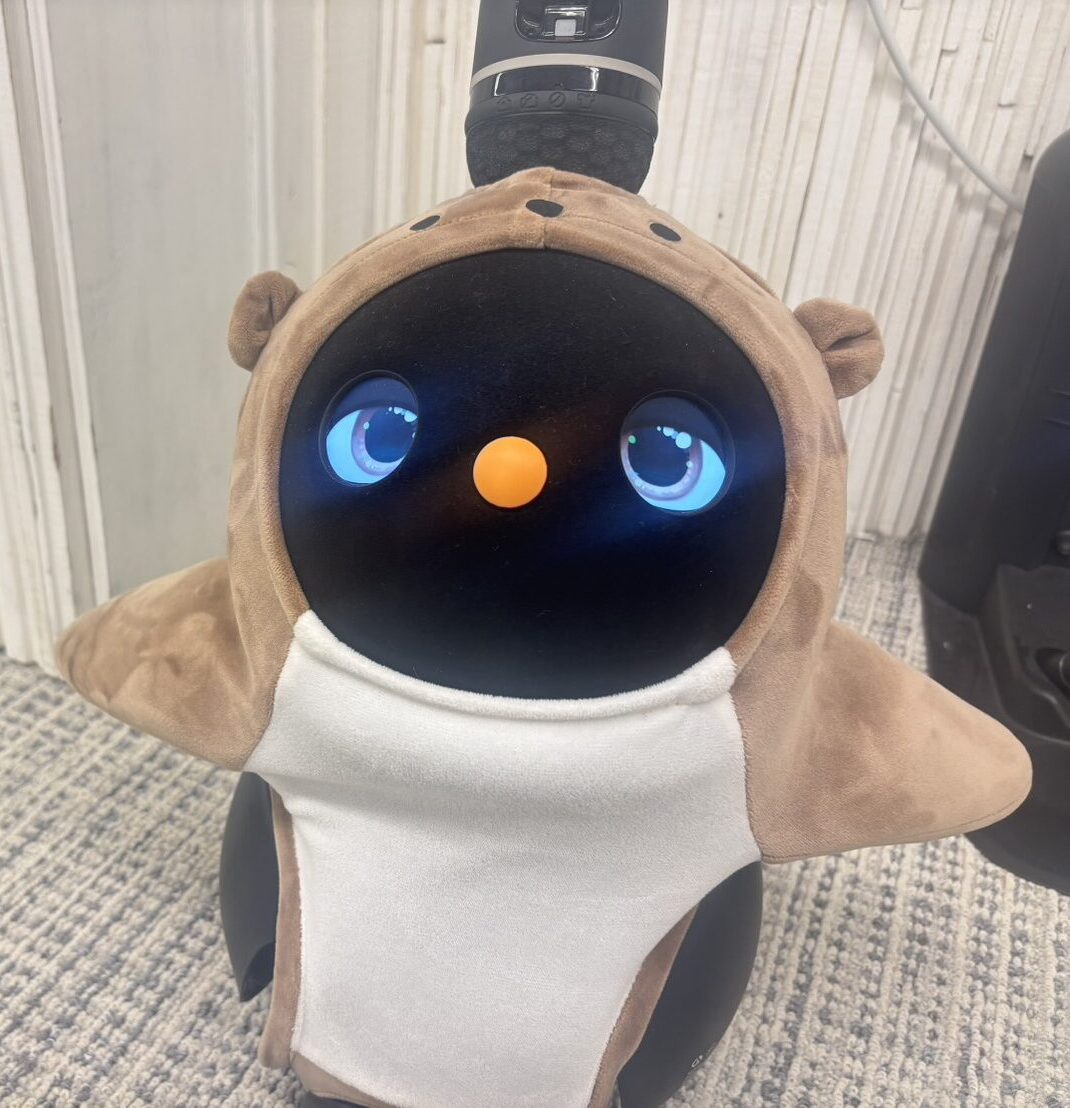 こんにちは！千葉店スタッフの小川です！